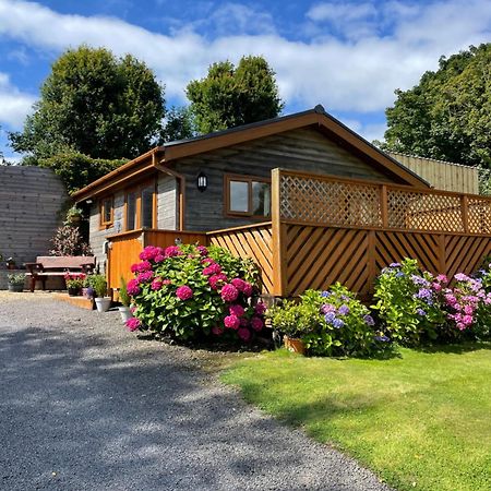 Swansea Log Cabin Pontardawe Exteriör bild
