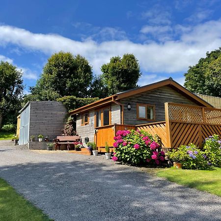 Swansea Log Cabin Pontardawe Exteriör bild