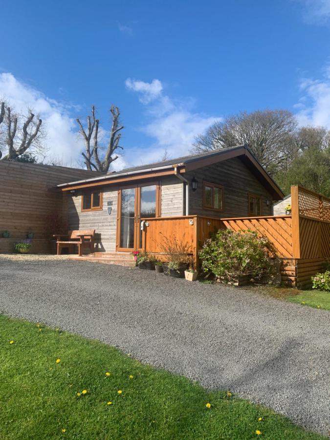 Swansea Log Cabin Pontardawe Exteriör bild