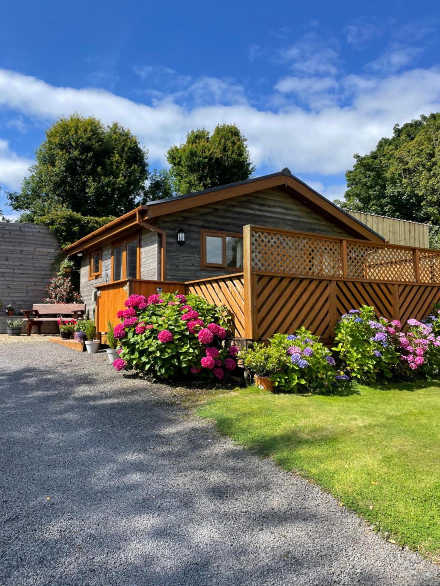 Swansea Log Cabin Pontardawe Exteriör bild
