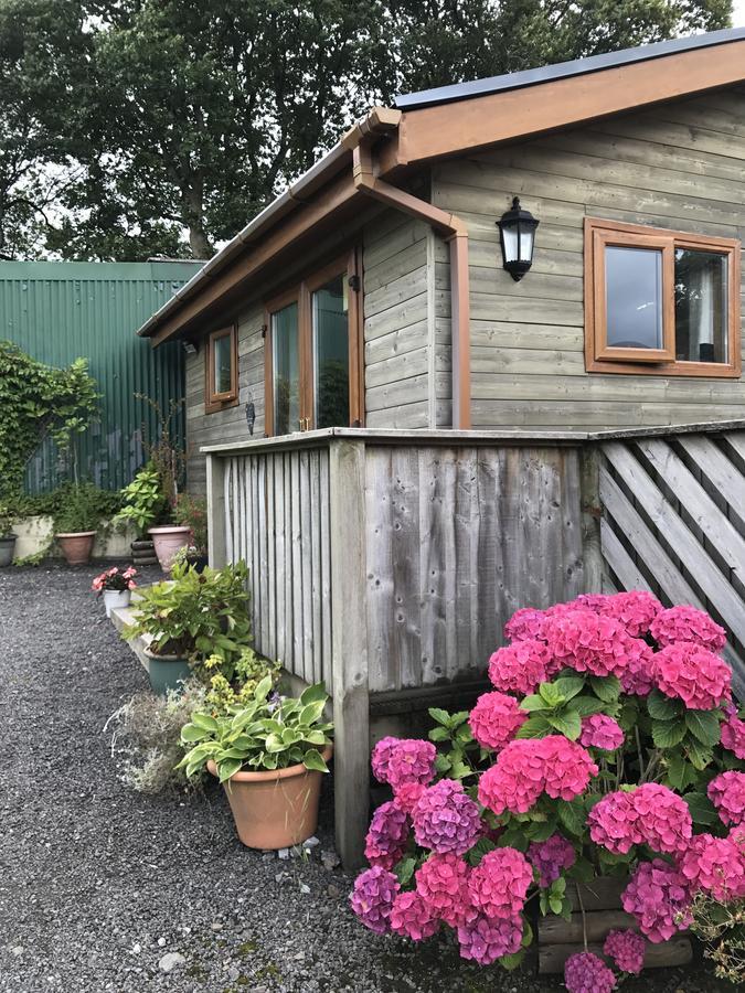 Swansea Log Cabin Pontardawe Exteriör bild