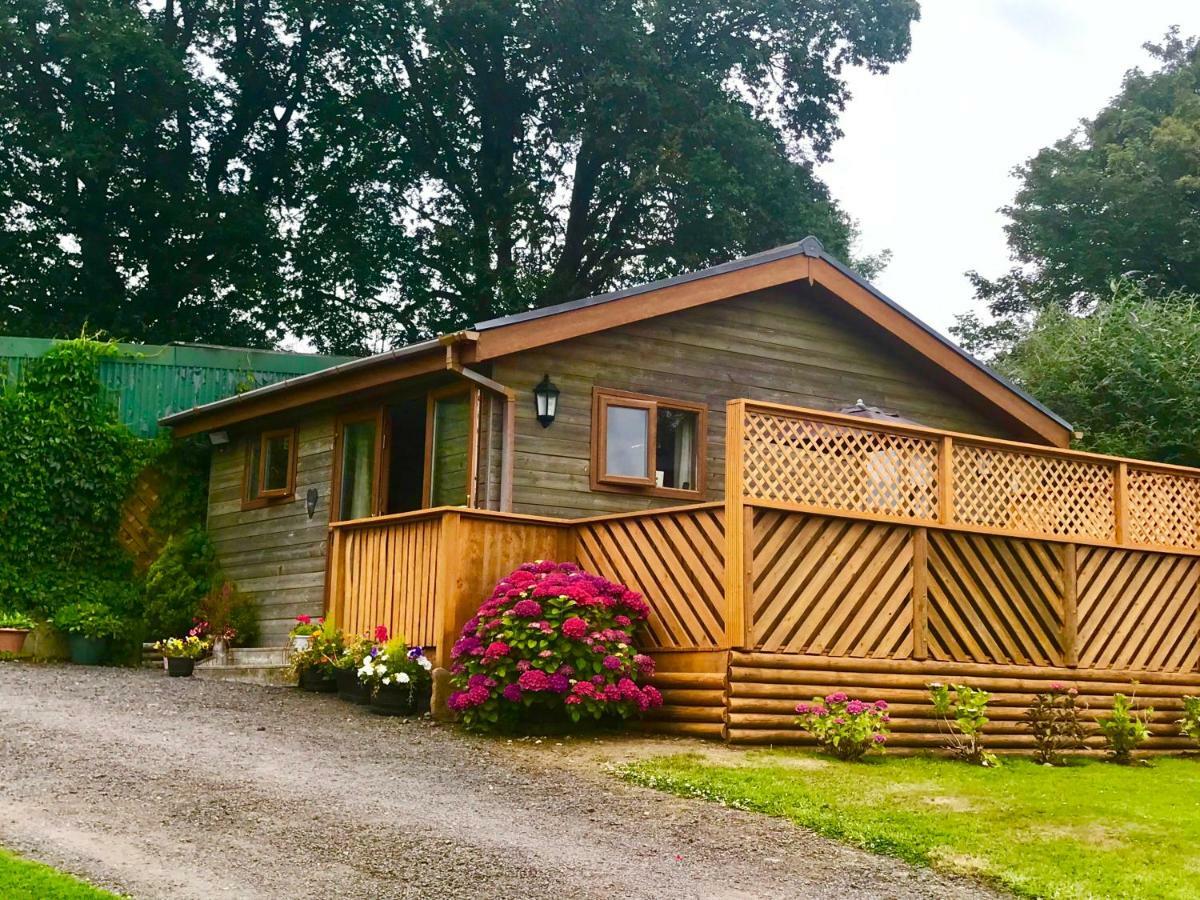Swansea Log Cabin Pontardawe Exteriör bild