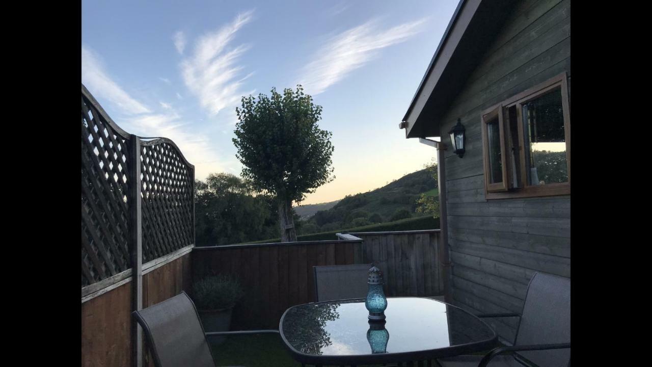 Swansea Log Cabin Pontardawe Exteriör bild